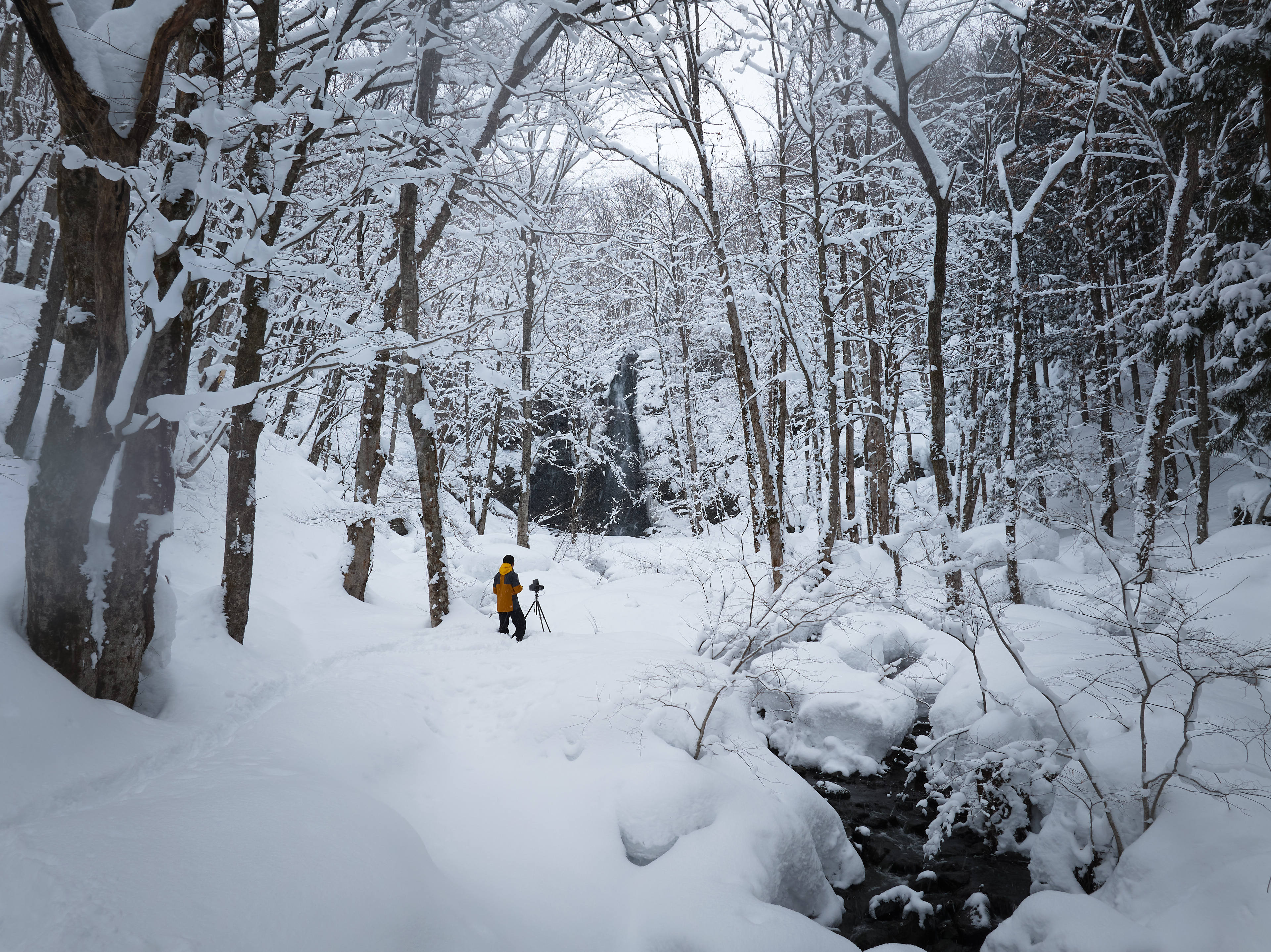 秋田·青森冰雪之旅 ​​​
