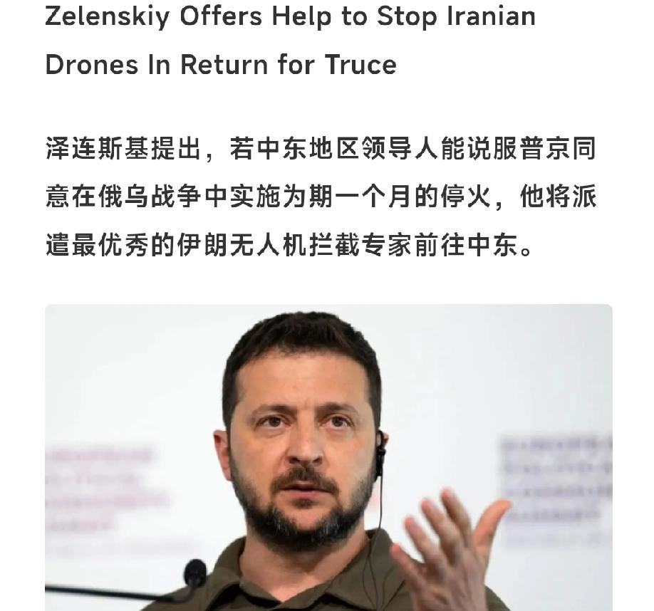 泽连斯基欲大展“神威”于中东！泽连斯基提出，若中东地区领导人能说服普京同意在俄乌