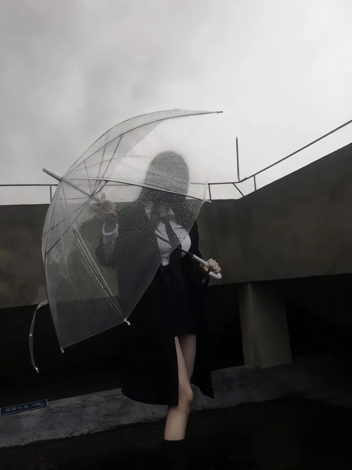这条路我们风雨同行
