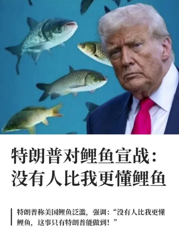 老特的真的闲不下来。中东的事情还没搞定，转过头来就要对国内的鲤鱼开战。

老特称
