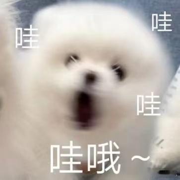穿搭这一块还得看我妈日常相处氛围轻松又温馨，再加上妈妈绝佳的穿搭品味，气质温柔大