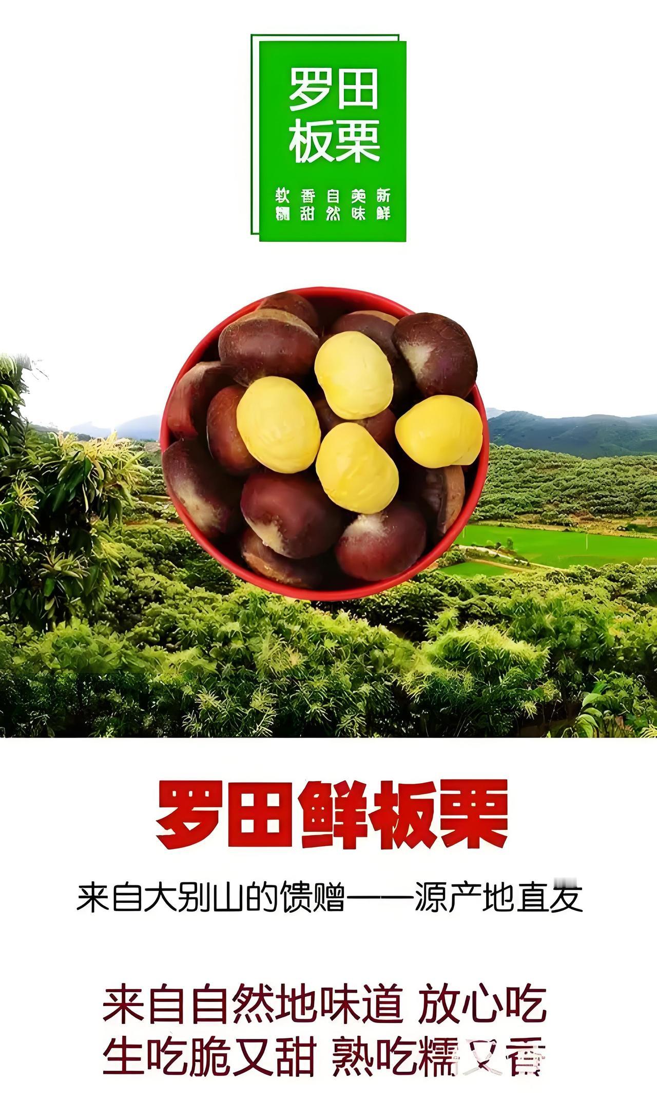 罗田真的是个宝藏打卡地！它地处鄂东北大别山腹地，风景那叫一个绝，云雾绕山峦，溪谷