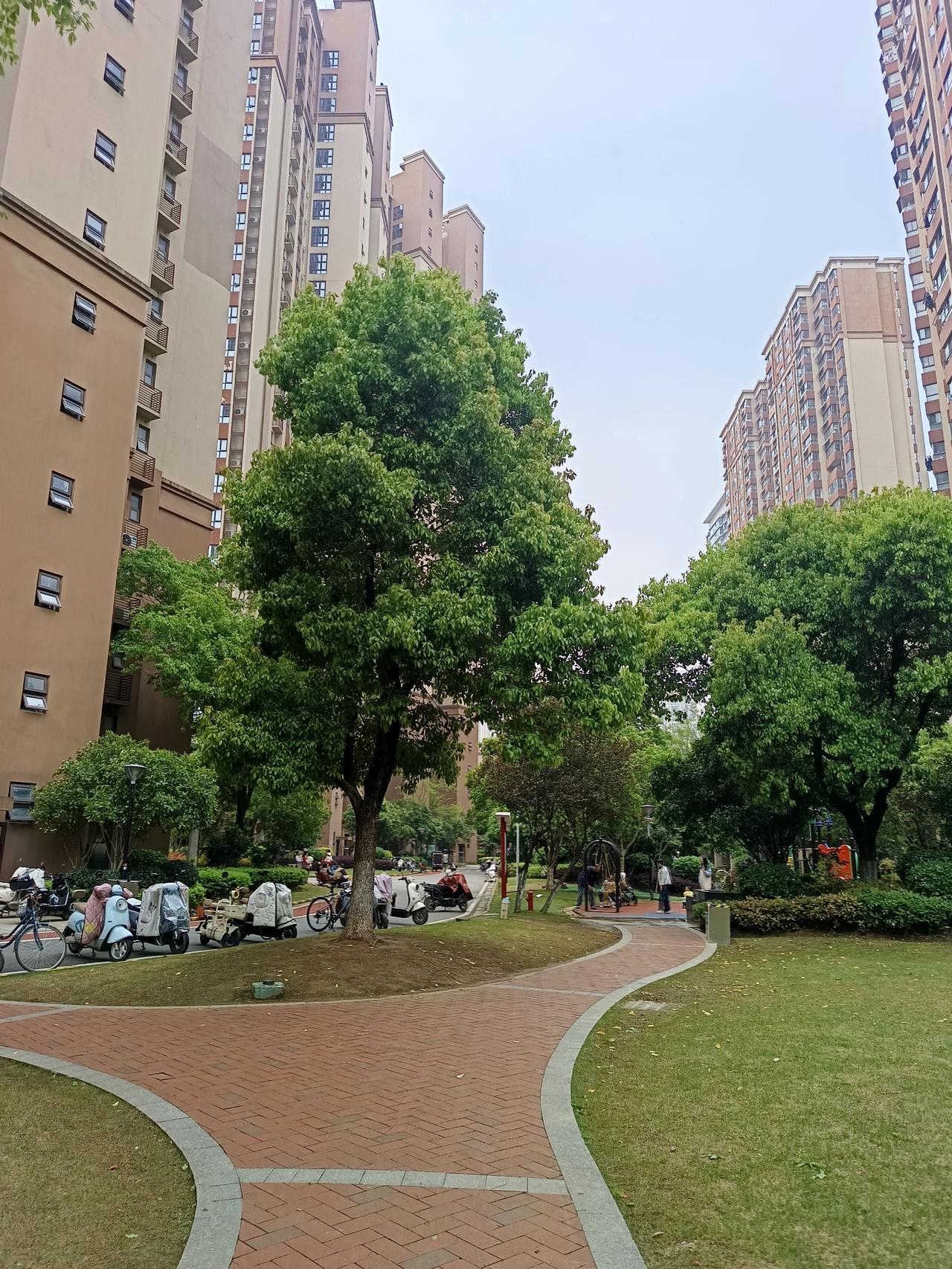 牙痛半个月了，四月22号去挂了二瓶吊水，就又开始在家喝阿莫西林，布洛芬，今天五月