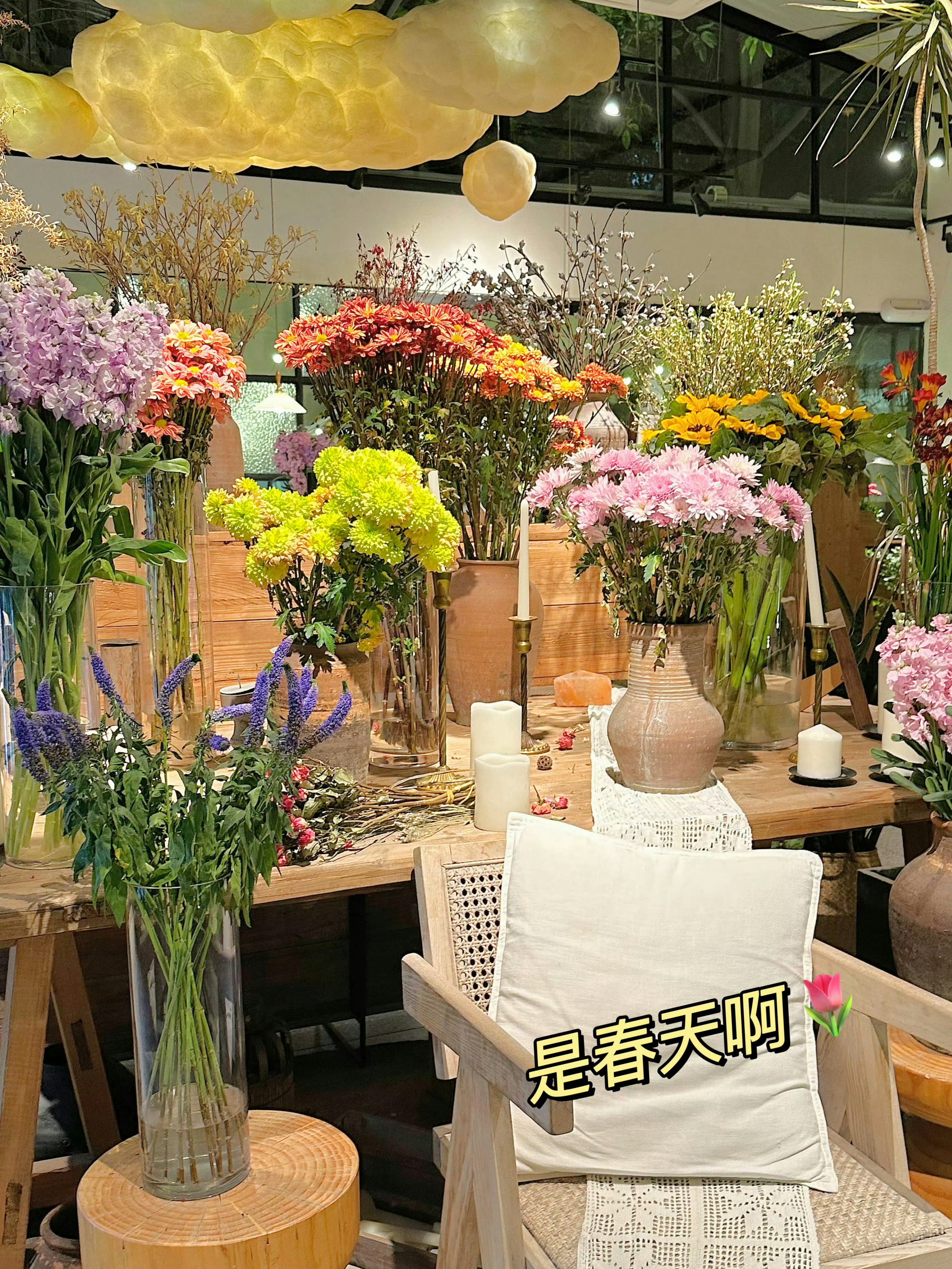照片库存📸在平淡里寻找一些小美好🐈🌷 ​​​