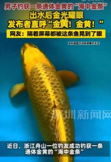 “钓到宝了！”10月23日报道，浙江舟山，一男子海钓时，钓到了一条品相极佳的野生