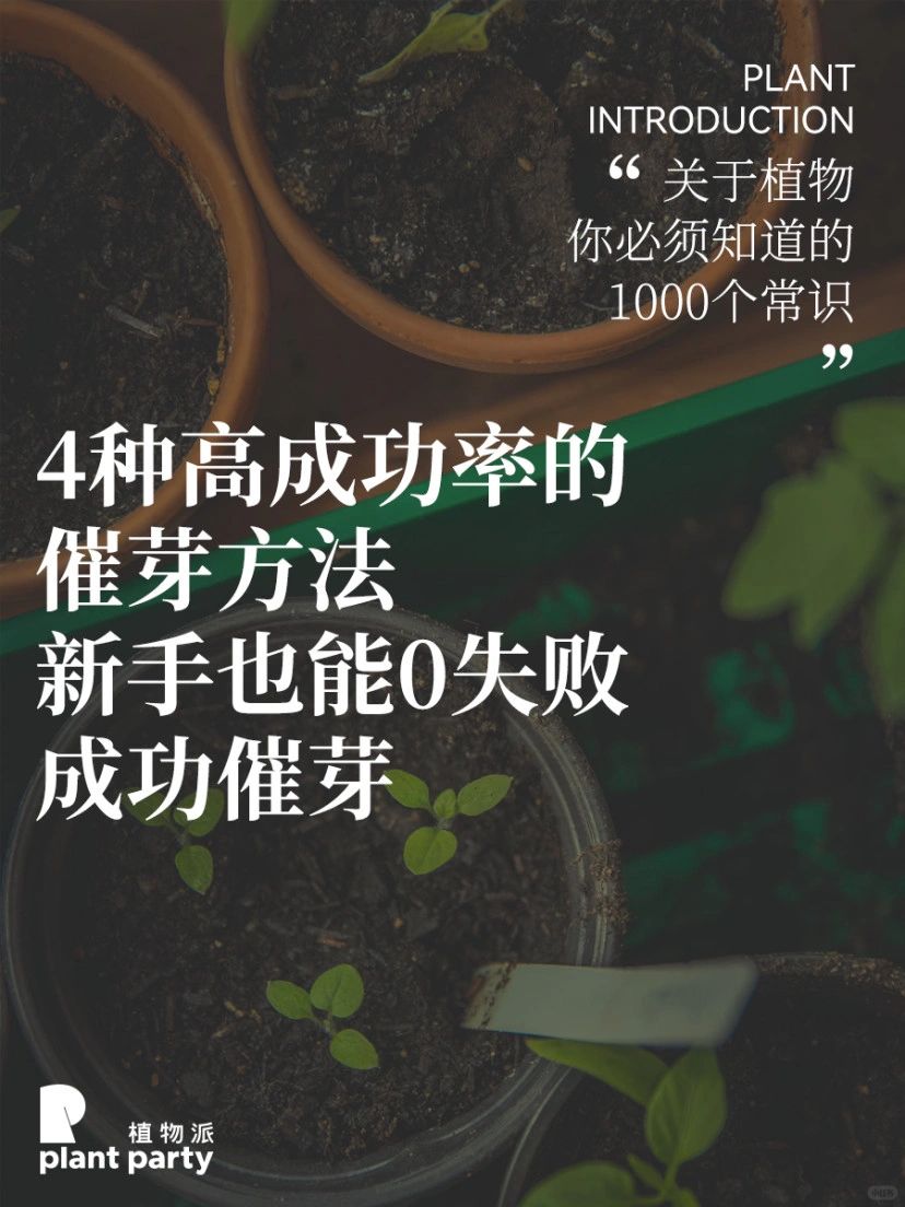 0失败‼️④种保姆级催芽方法‼️新手必须收藏‼️