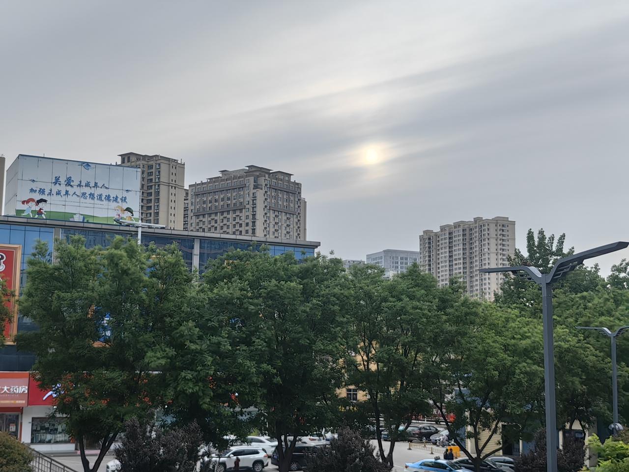 分享一张你最近随拍的照片