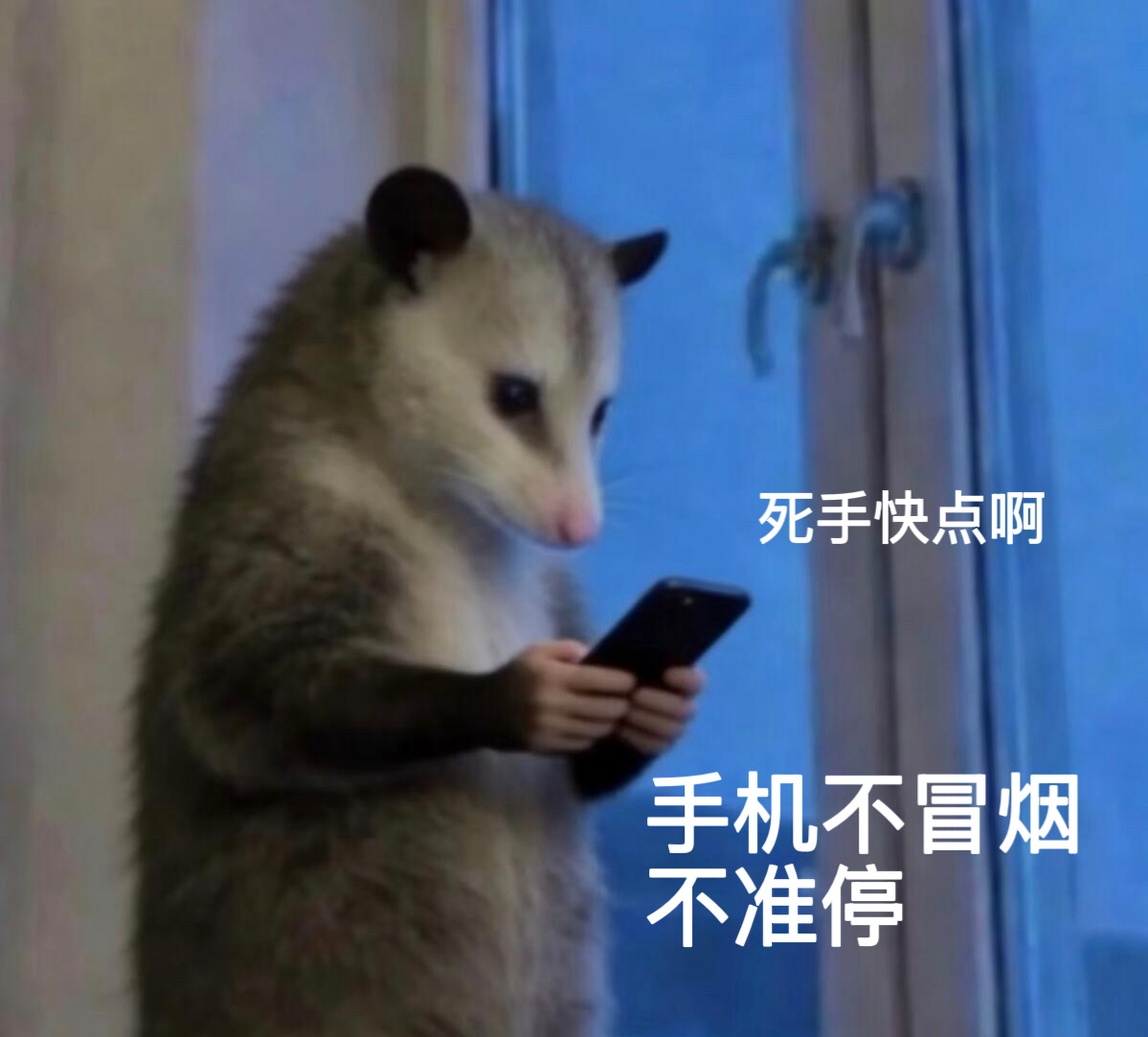 早💛今日任务点点点点点点点点点点👇睁眼先来点一波网页链接