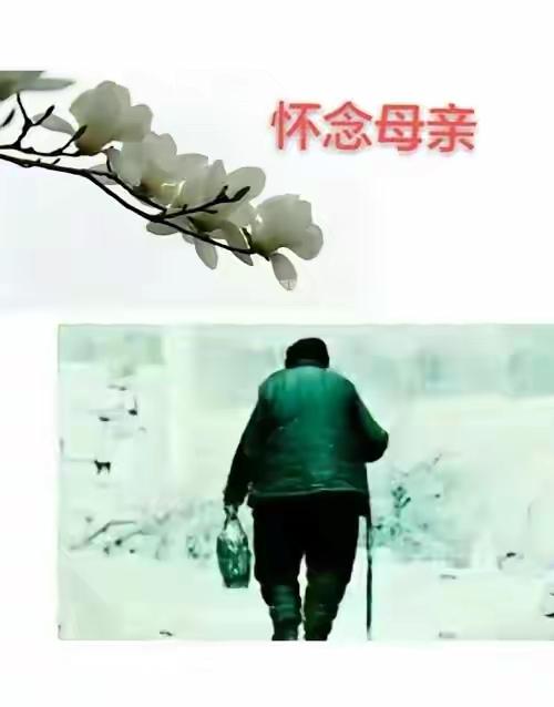 63岁痴呆老人掏光积蓄寻母：去世40年，这份执念看哭无数人

在这个快节奏、物欲