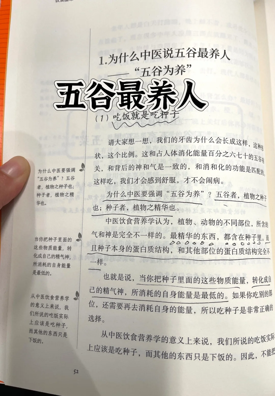 ⛳为什么中医说五谷最养人