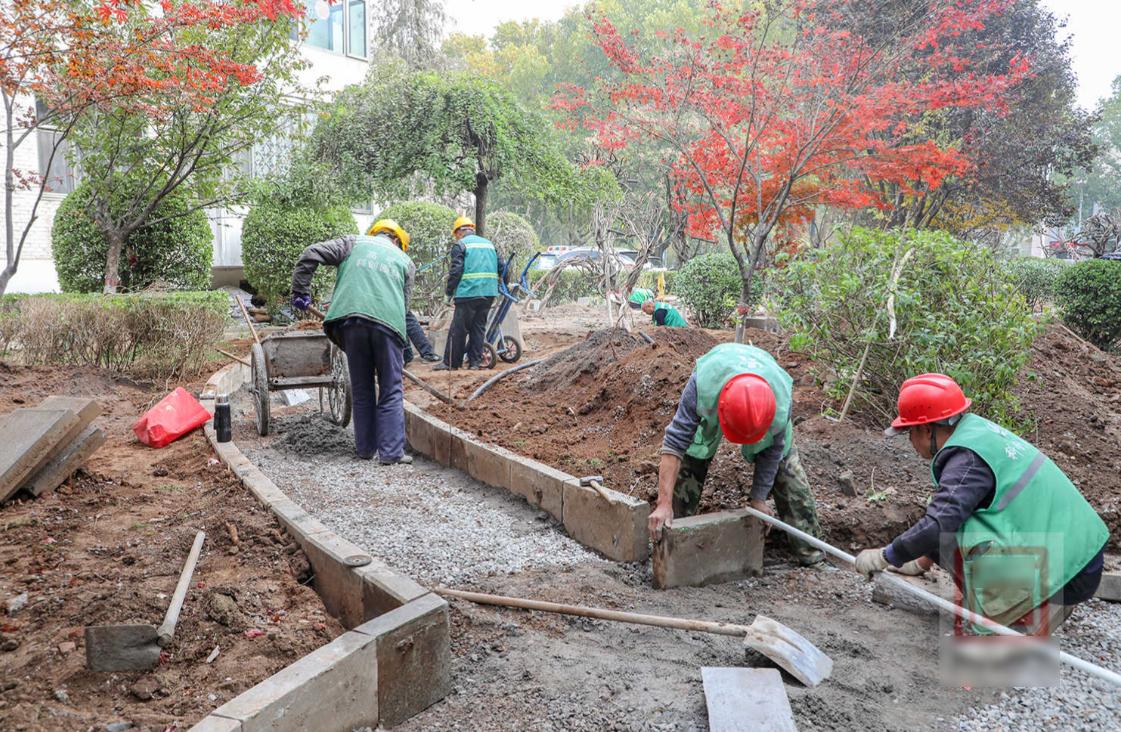 湖南郴州：耗资 8620 万元，苏仙岭 — 万华岩片区生态廊道绿化工程全面启动 