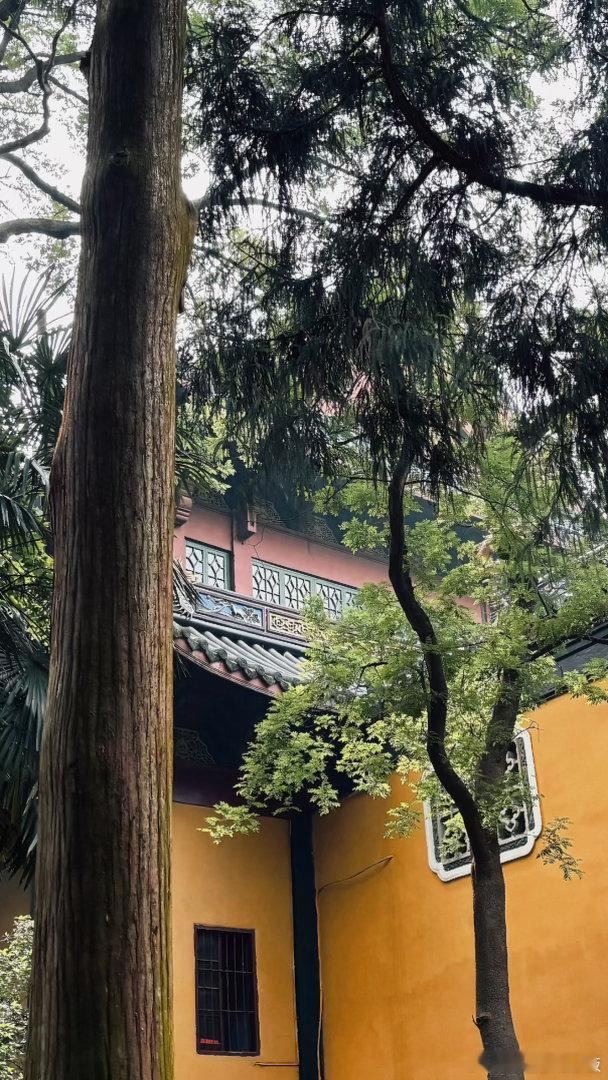 拍的牛不牛逼 