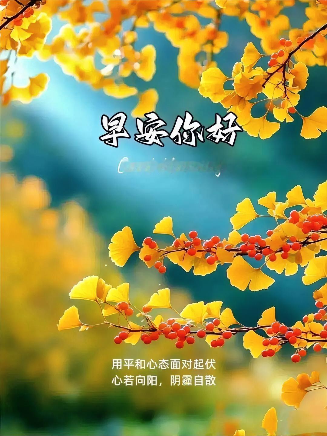 金桂飘香迎晨光，红果点缀好心情，心若向阳，阴霾自散，早安你好！