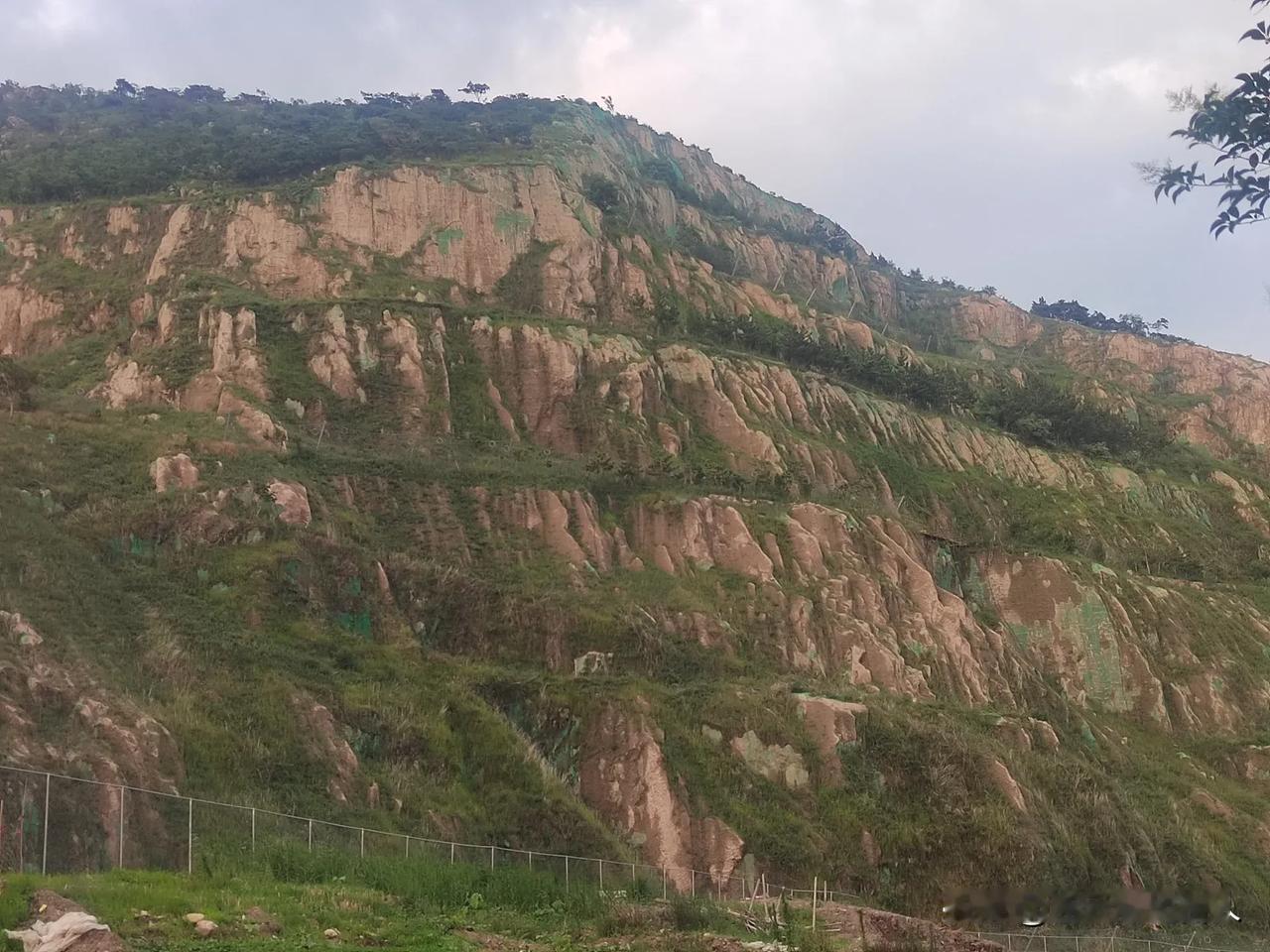 国家级风景名胜区山体曾遭破坏，连云港花巨资全面修复！

感谢网友提供现场照片，后