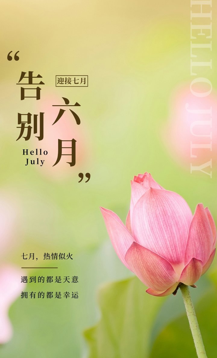 “听一曲蝉鸣，赏一池荷香。”七月顺遂！ 