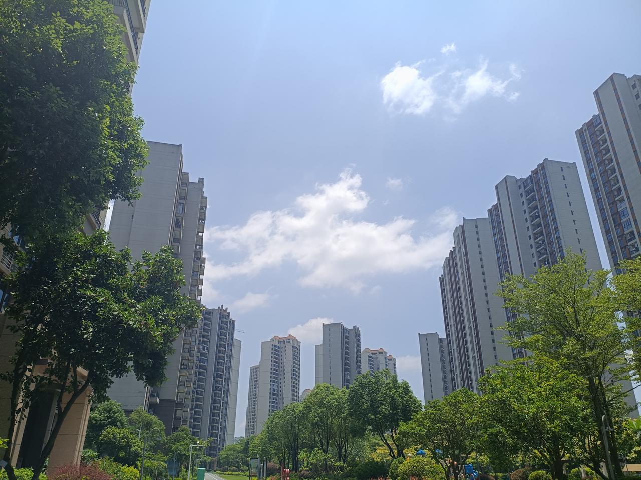 夏日生活打卡季突然发现自己小区的天空很美，午间这个时候，我穿梭在小区的大榕树下，