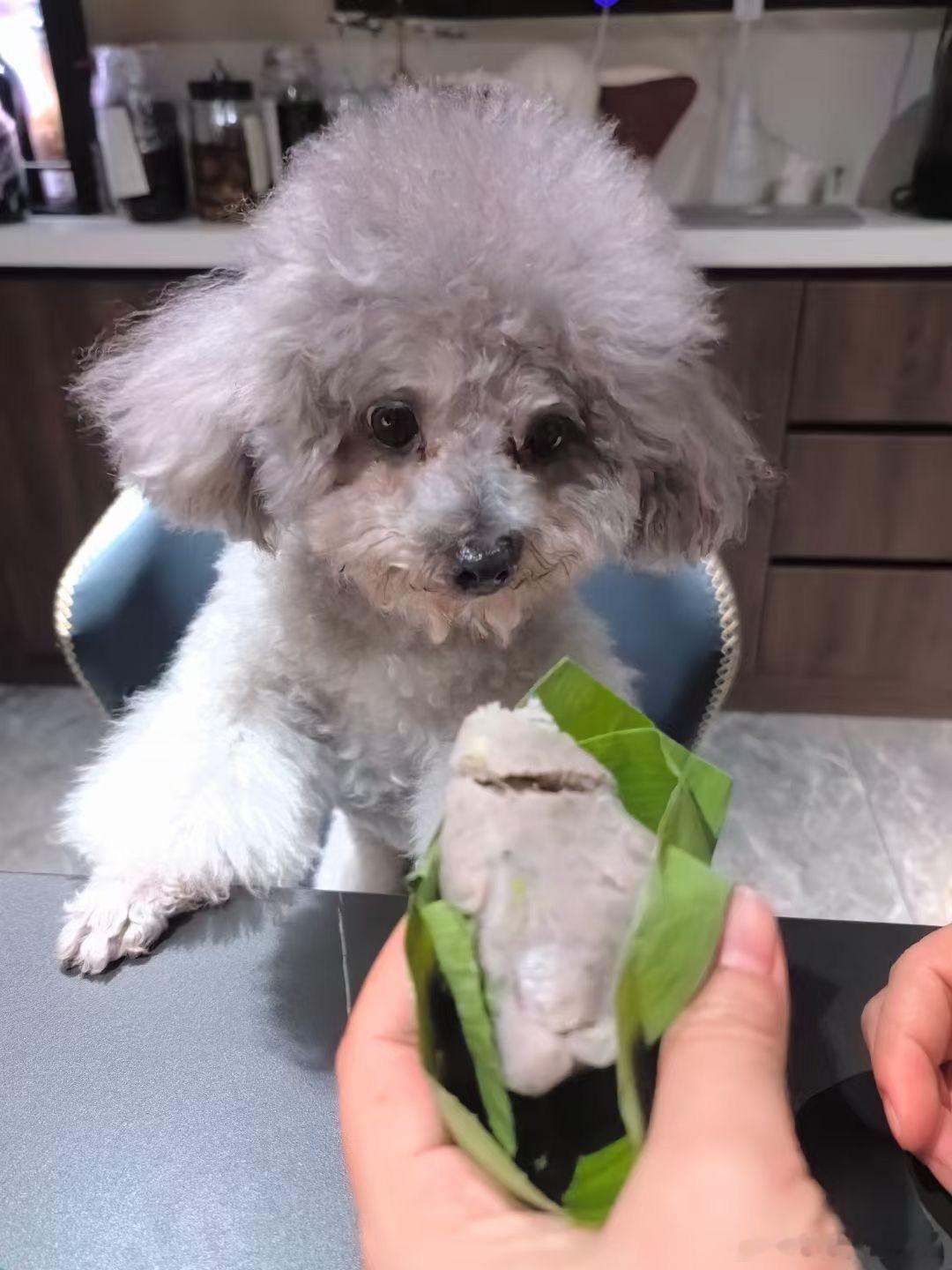 粽子节快乐呀！！！！ ​​​