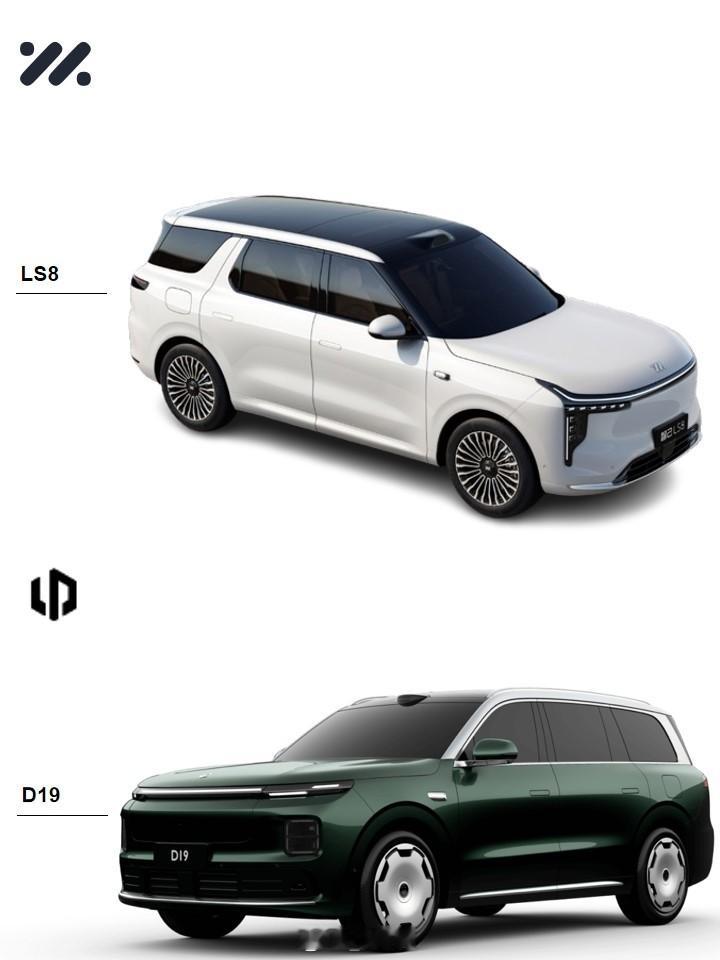 智己LS8零跑D19 粉丝咨询：二选一，智己LS8还是零跑D19