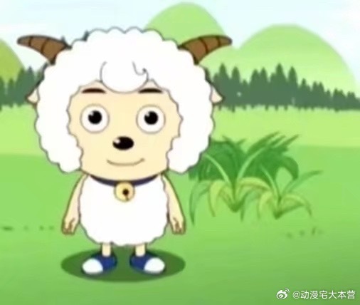 对所有事的态度： 
