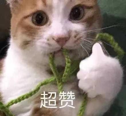 #中国网络文化红到巴黎#我觉得这也是中国网络文化的另一种输出，也算是和国际接轨了