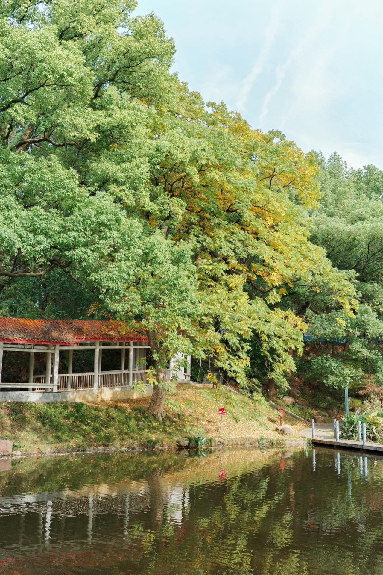 理光GR的安静！#每一帧都是热爱 #身边的风景无处不在 #寻一处幽静觅一份清欢 