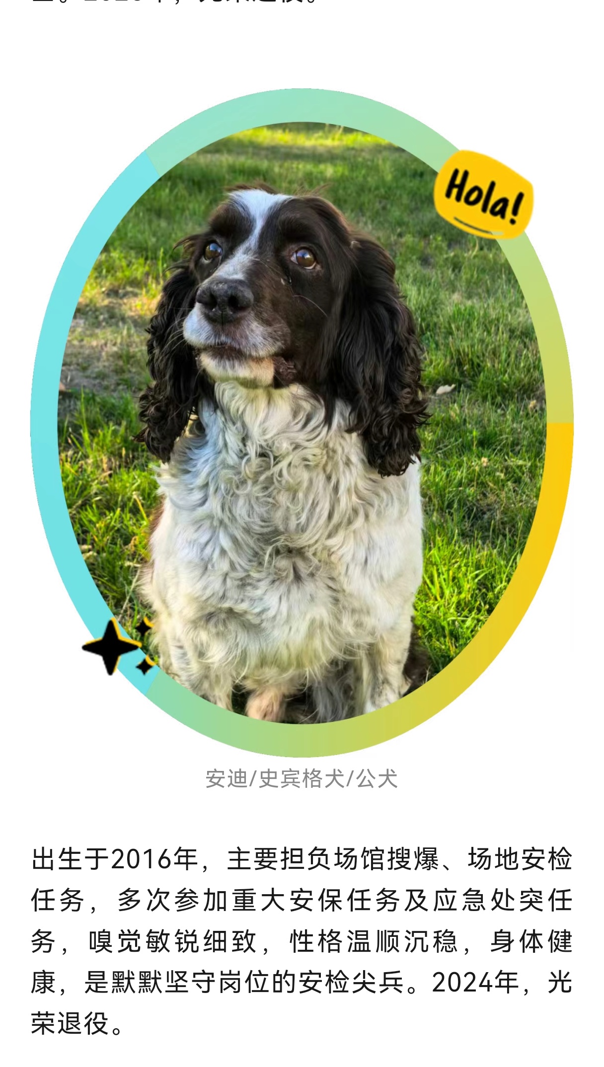 7只退役军犬寻家！武警西藏总队发布领养公告！ 