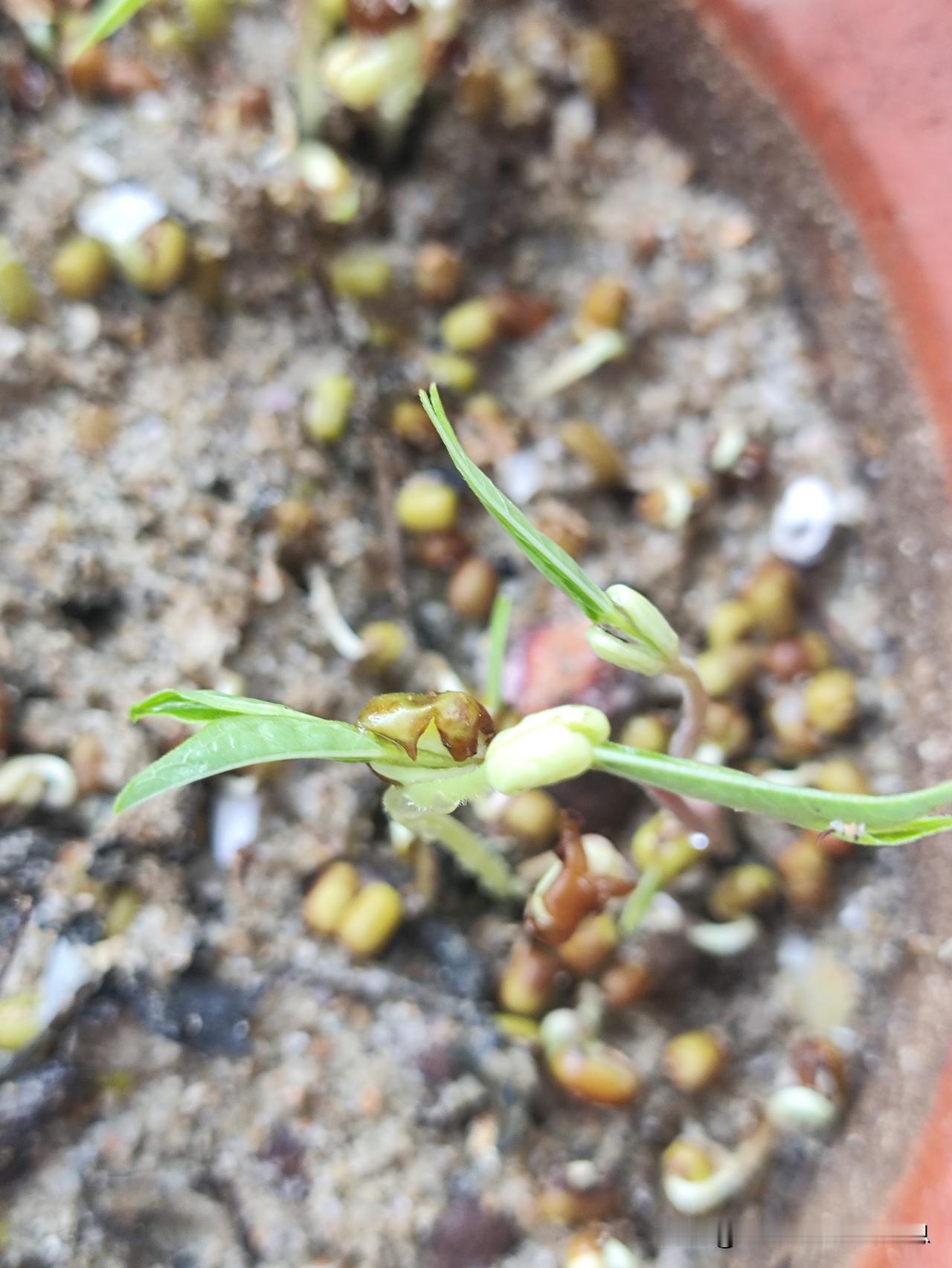 法拉利老了还是法拉利
确实足球嗅觉
射门，角球定位球
绝杀弗得角
