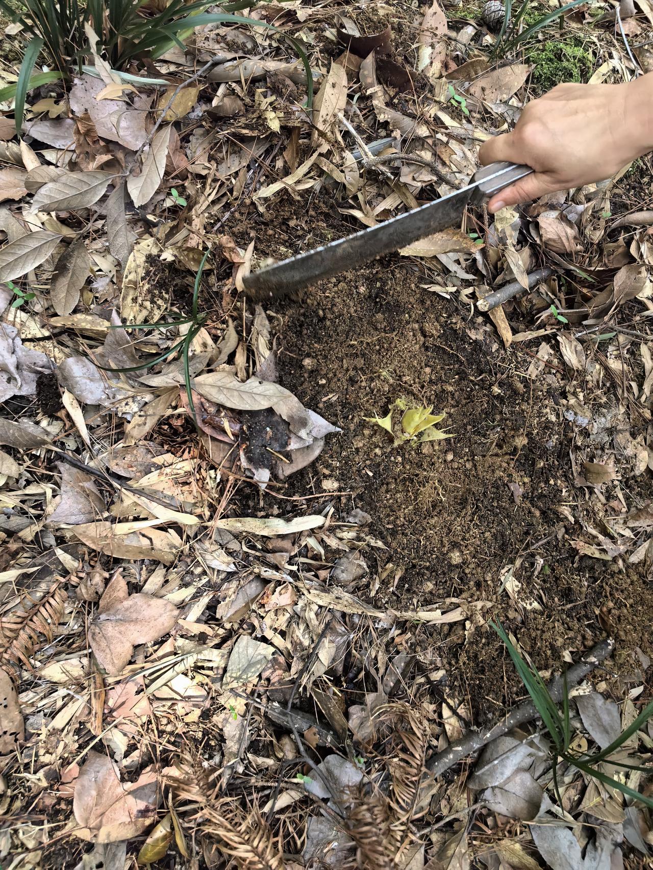 下船休假第6天

时间过的还算比较快，不知不觉下船已经六天了，今天没有下雨，去山