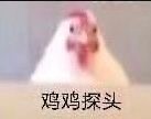 对博主的初印象请选择：A.杨洋老婆B.AC.B 