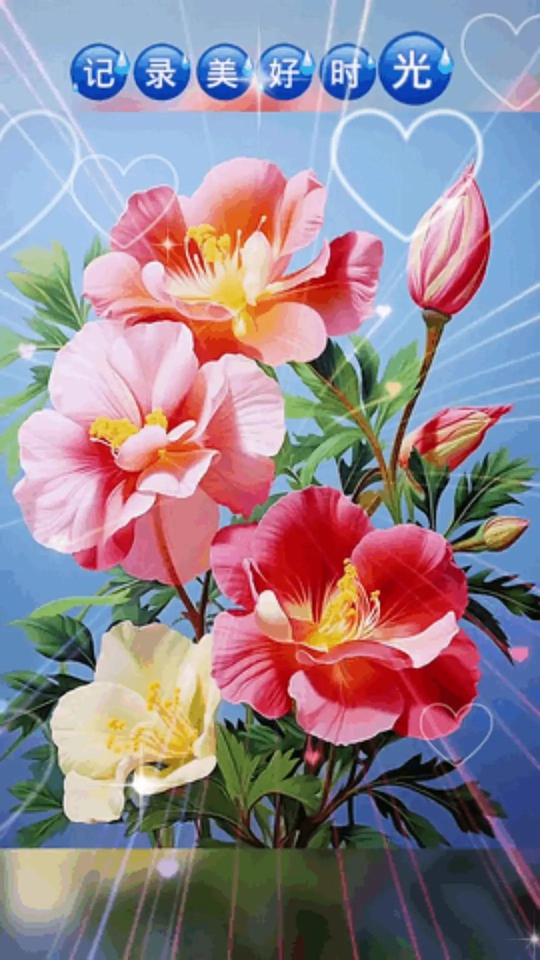 花开心乐A1生在成都。人乐🌸开