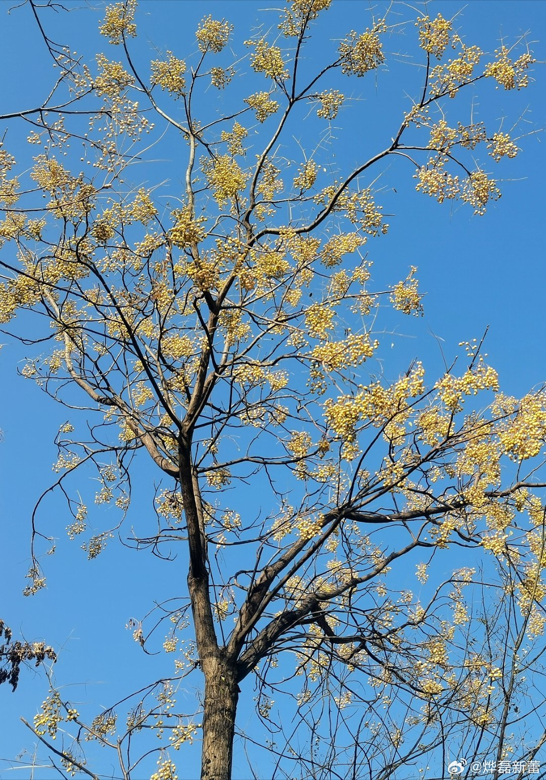 今日一个朋友结婚，自己给自己主持婚礼，我觉得很独特，挺好的，少了那些煽情的环节和