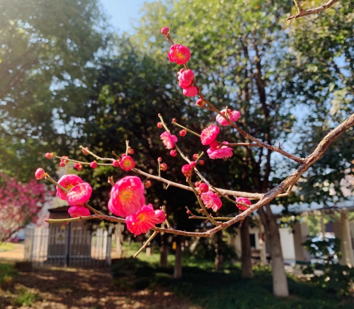 男人一生最可悲的，从不是贫穷、病痛或衰老，而是年少时选错伴侣。

选对了，家是依