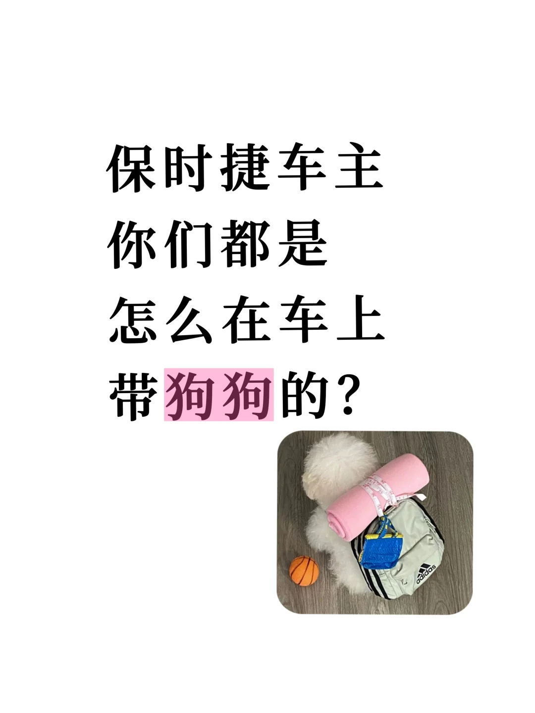 你们车上怎么带狗狗🐶的