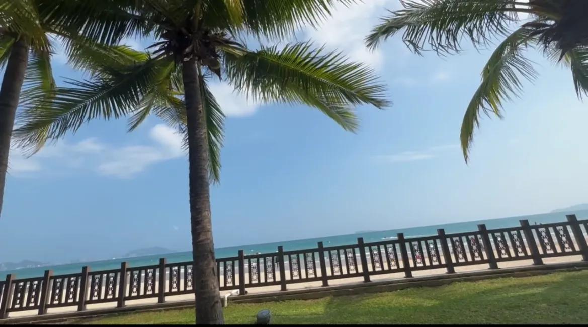 东方甄选YoYo去海南了，结果风挺大的，都不能好好看书了