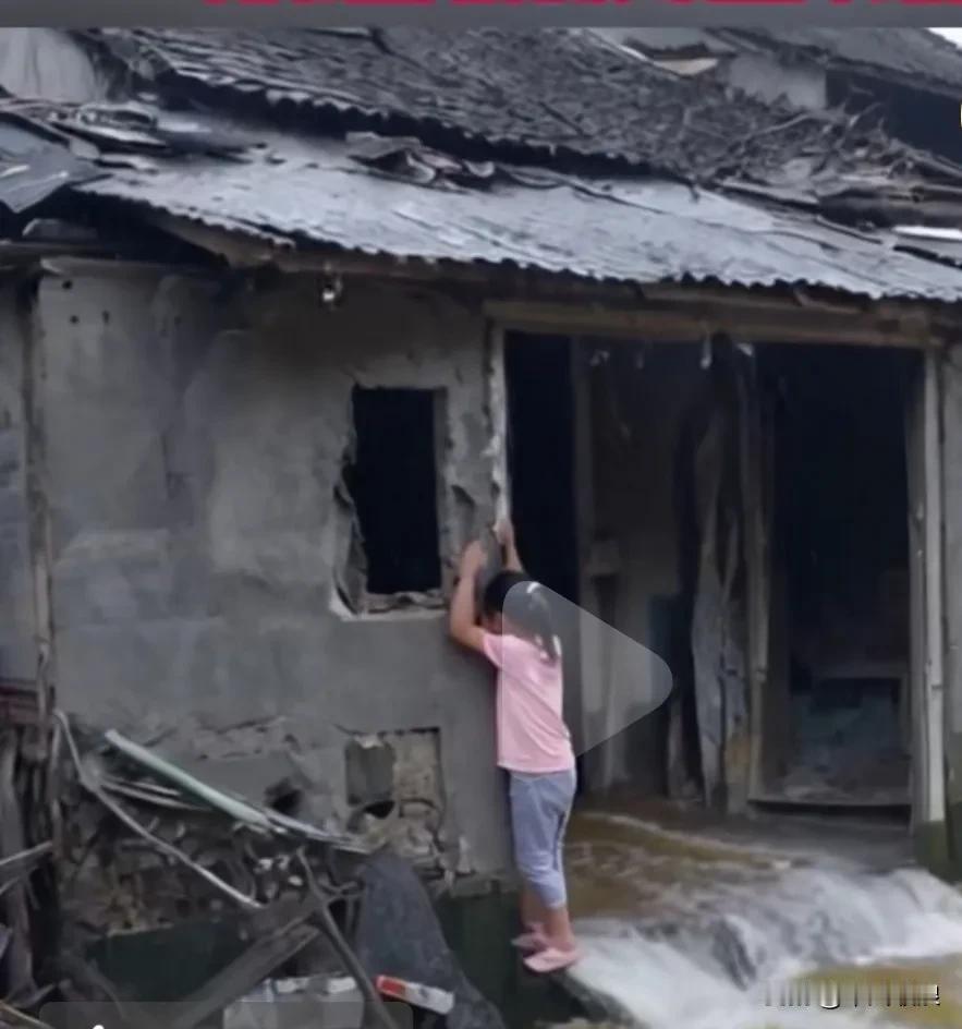 洪水泛滥来临，小女孩被困，金毛冒死寻找小主人，找到后让小主人骑在自己的背上十分谨
