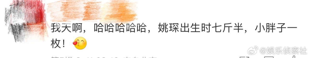 姚琛出生时七斤半、姚琛出生时是个小胖子 我天啊，哈哈哈哈哈哈哈，看到这里好想说没
