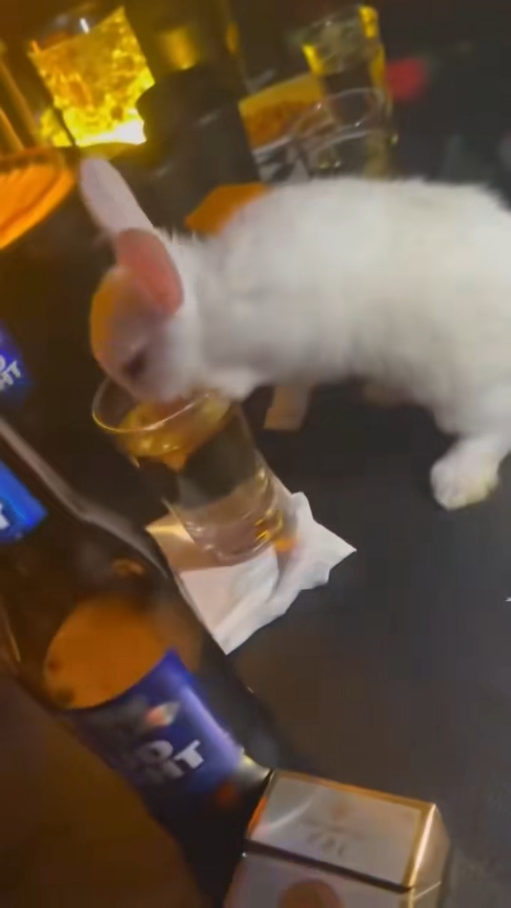 高途在便利店打工下了班李全霖烟酒都来 