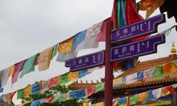 #秋之童话# 
穿梭在这座庞大的藏式建筑群的寺庙里和巷子中
每一处角落都能发现悄