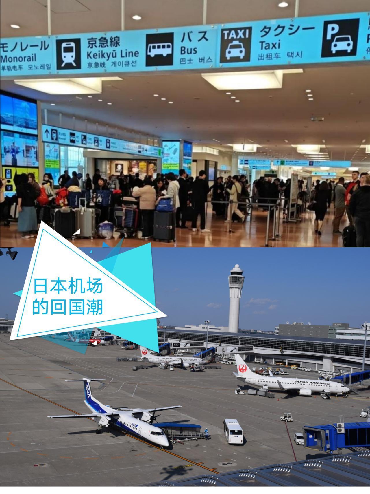 回国潮，日本机场回国队排到门外，中日航线停售炸锅！导游团单全黄，酒店空房堆成山