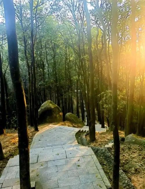 张晓磊的爆款文章《今天太大的事，到了明天就变成了故事》以其深刻的洞察力和生动的叙