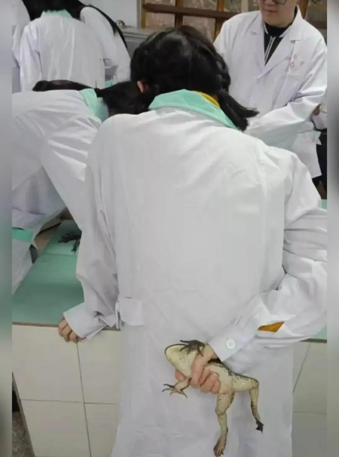 青蛙王子：哎呀，我居然被你拿捏得死死的。

白衣天使：放心吧，我会对你掏心掏肺的