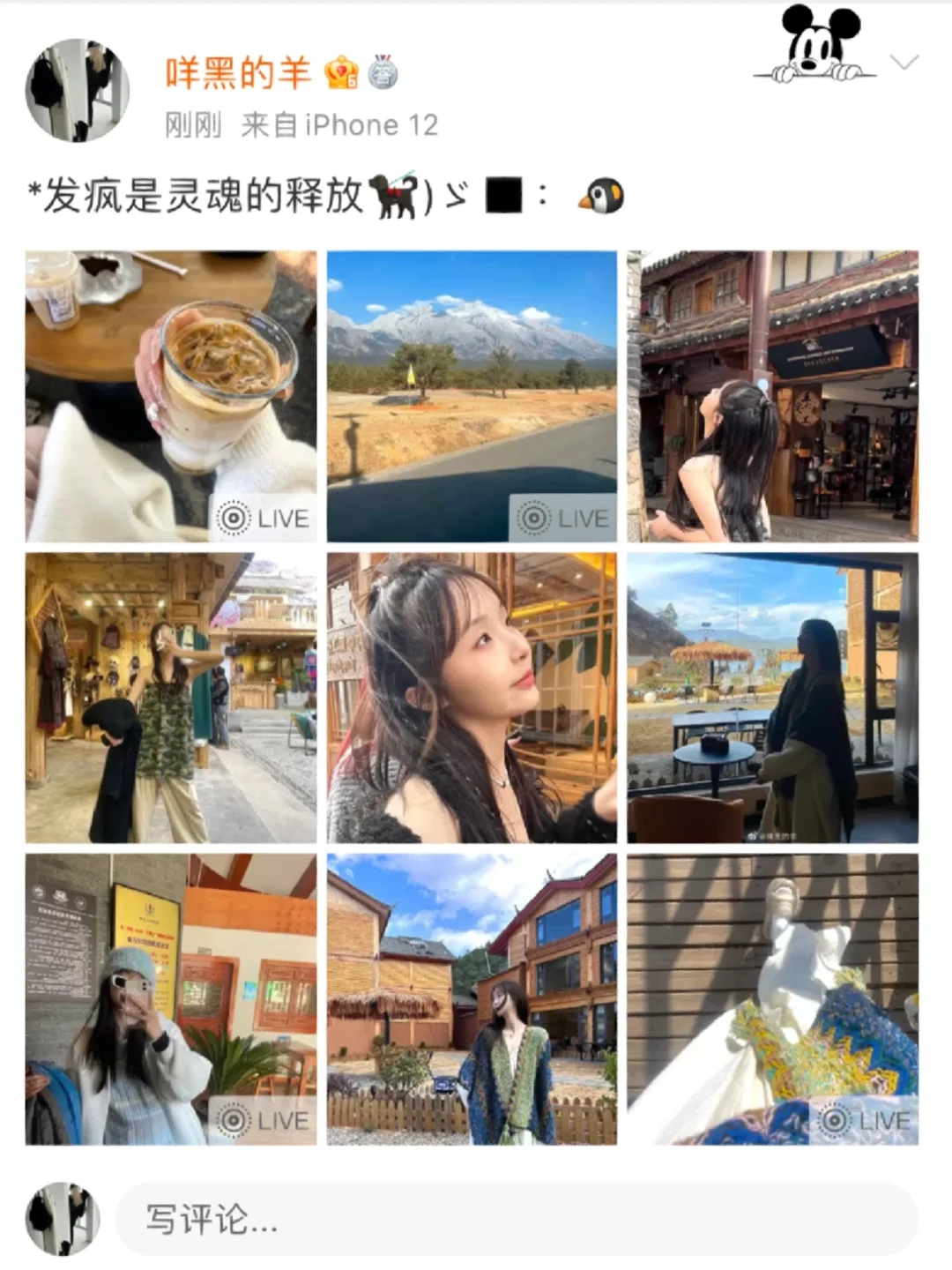 🐕‍🦺)ゞ◼️：🐧 100%适配春夏的滤镜·小众文案