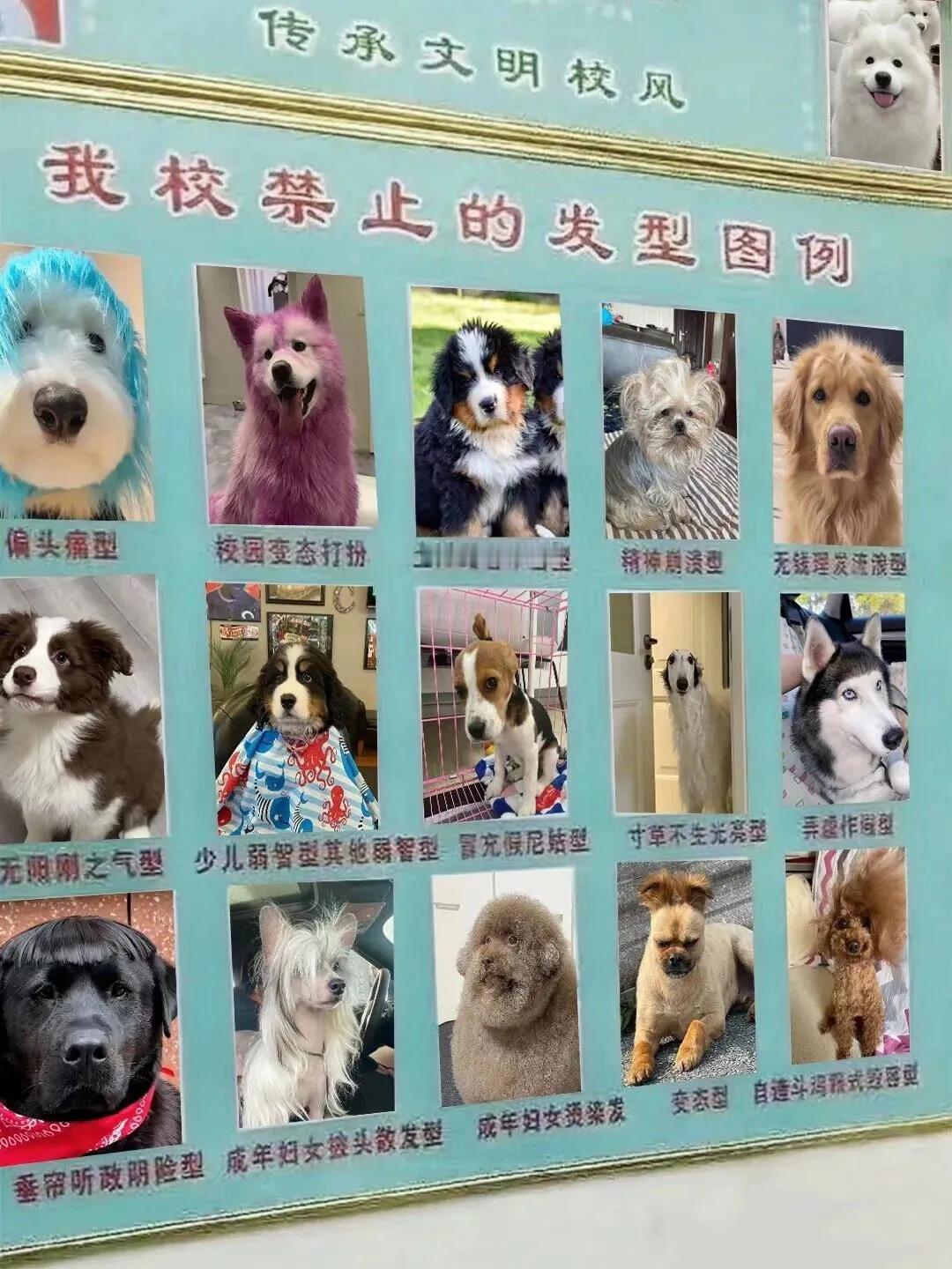 学校禁止的发型！！！！！