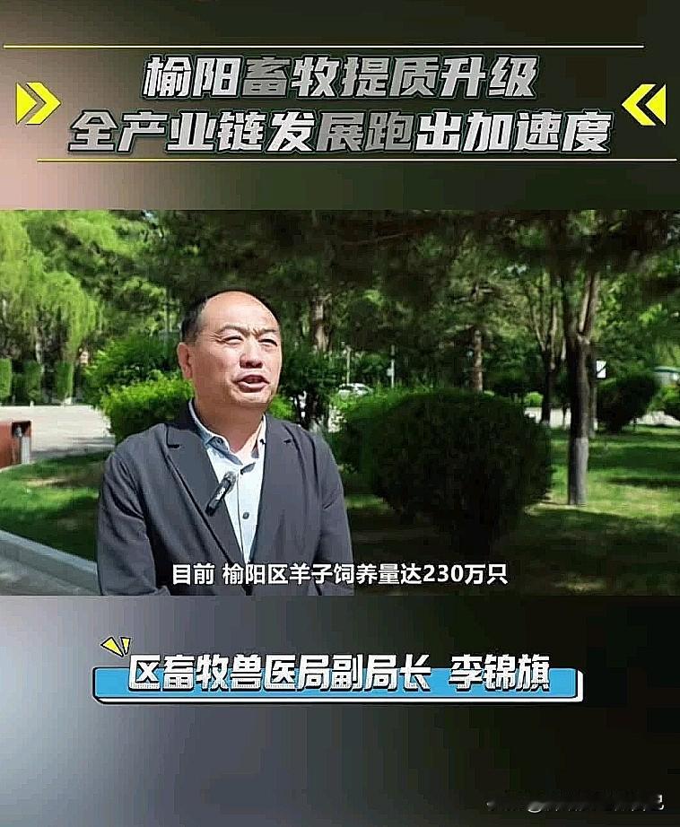 太提气！榆阳畜牧大升级，全产业链加速奔跑🔥
 
家人们，咱榆阳的畜牧产业真的越