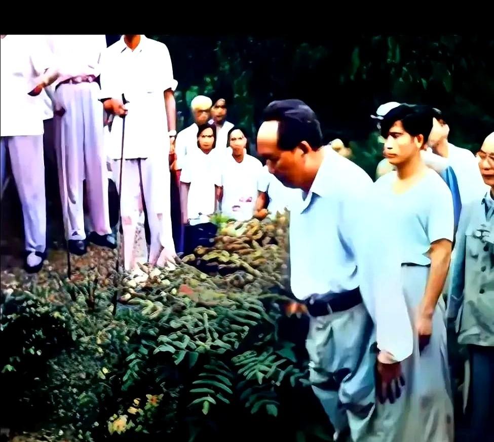 “润莲死在了新疆，润菊埋在了江西，开慧死在了长沙，泽建埋在了衡山，岸英永远埋在了