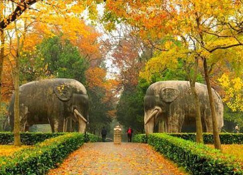 南京石象路，最美六百米。