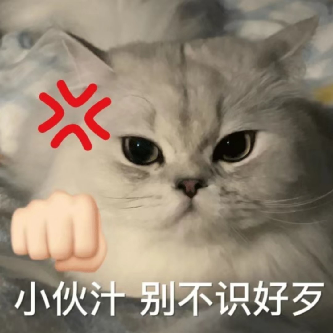 26.6.15到27.3.1是259天（8个月零13天）26.6.15到27.5