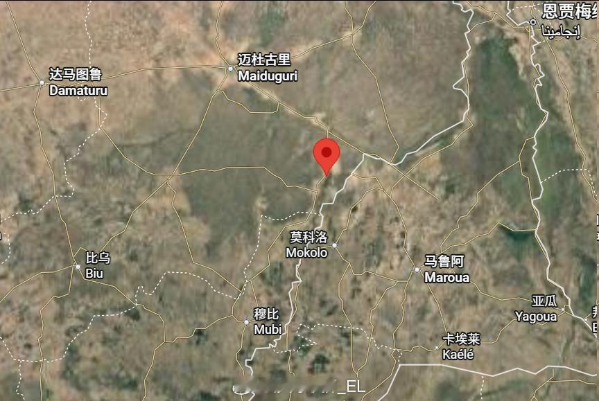 尼日利亚东北部博尔诺州瓦拉贝附近，极端组织ISWAP伏击了亲尼政府的民兵部队，造