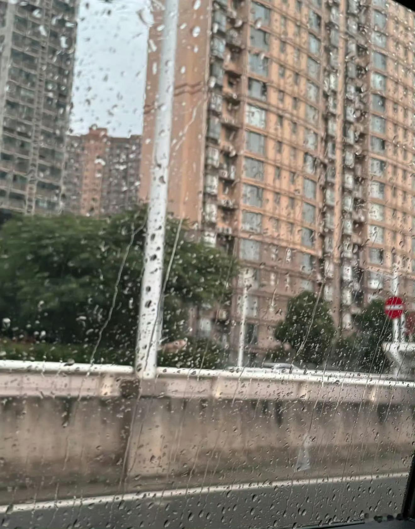 儿子坦白高考考砸了，全家都懵了你只是高考完了不是家里发财了