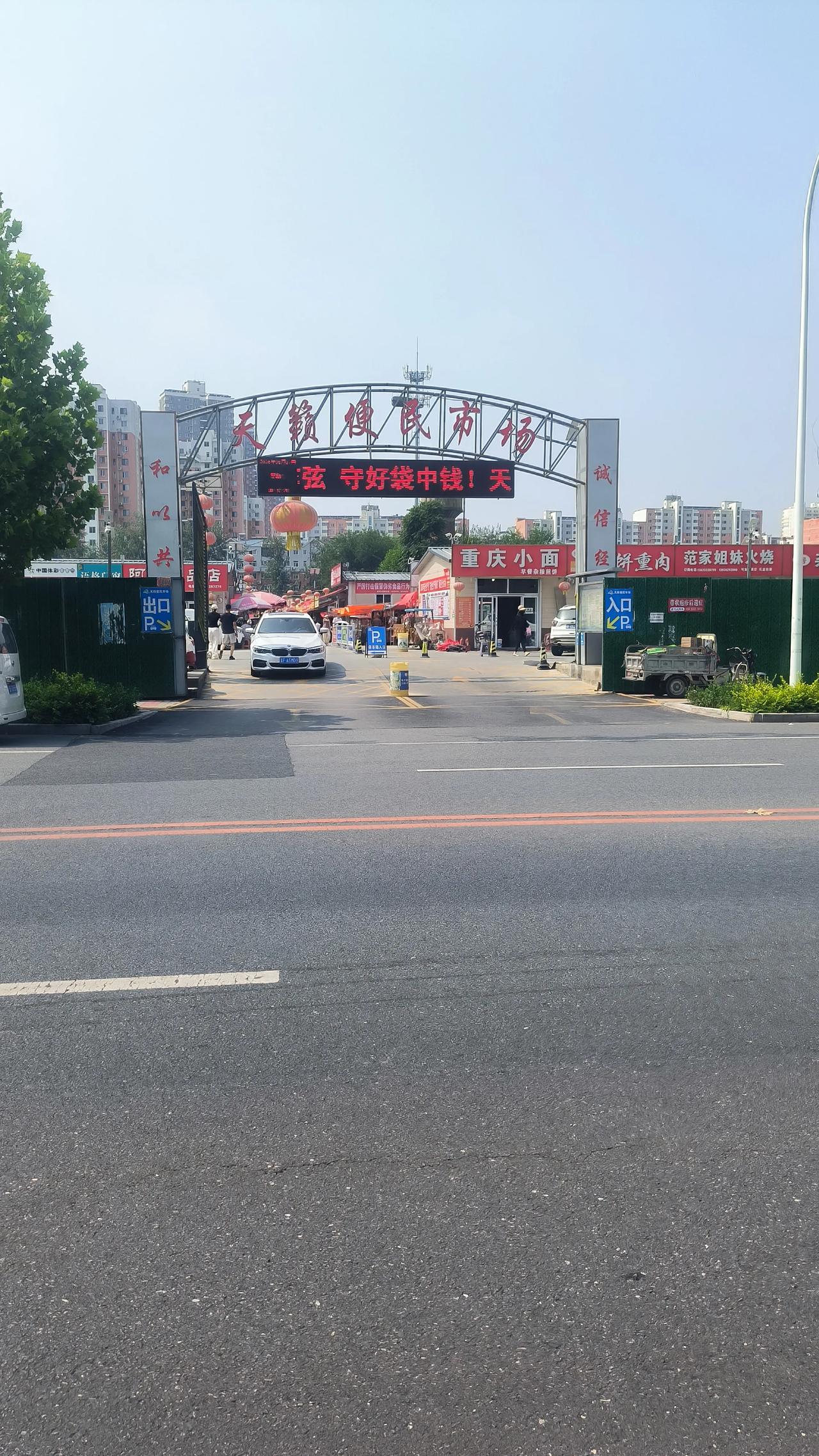 端午艾草上新啦！
今早保定天籁市场，农家大姐的新鲜艾草杆粗叶密，隔着好几步就能闻